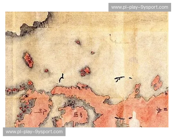 空手道排名：从腰带色彩到真正实力的秘密地图